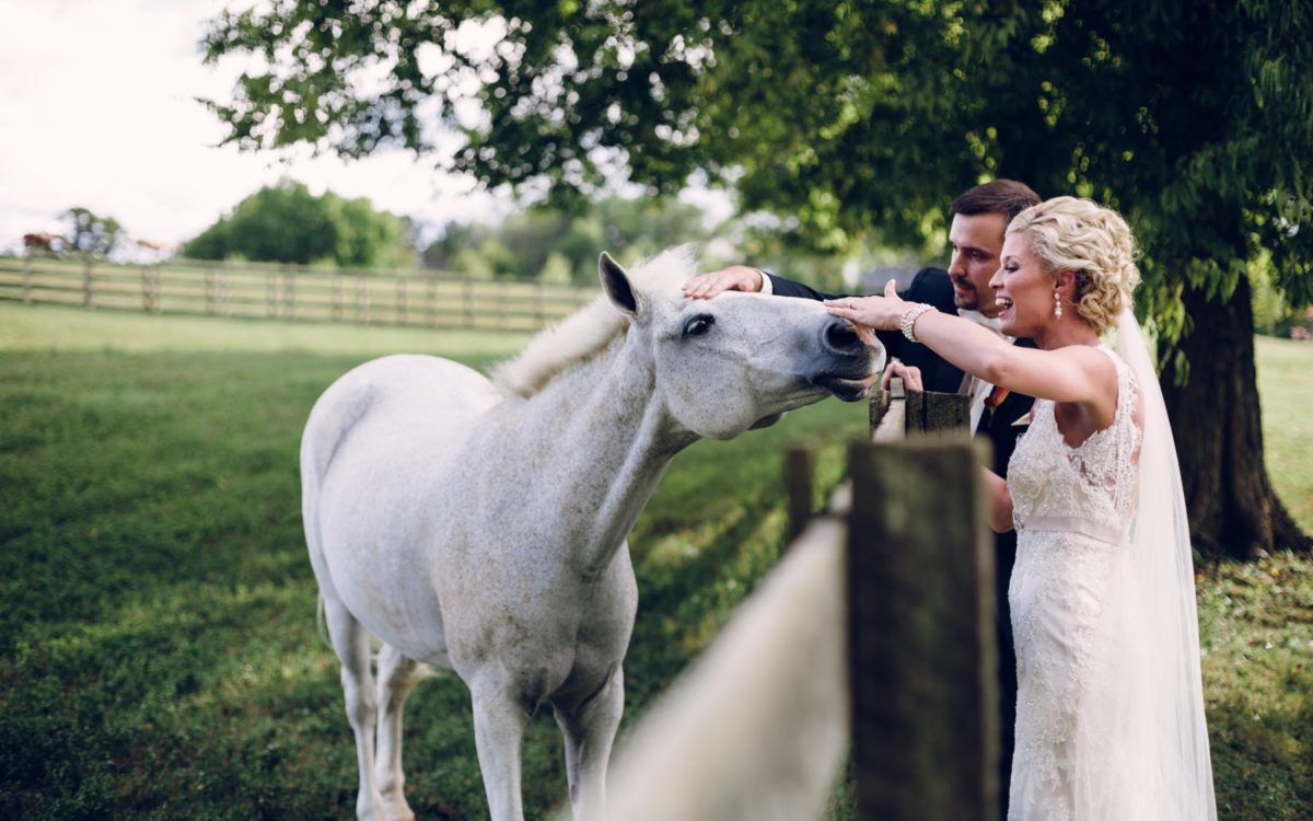 Wedding Photos