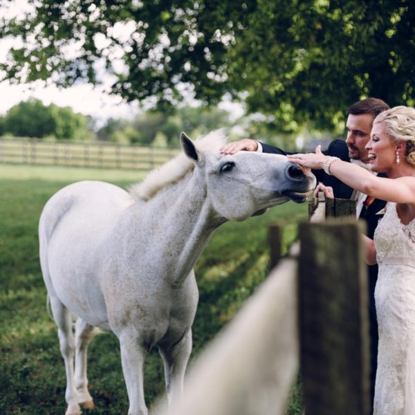 Wedding Photos