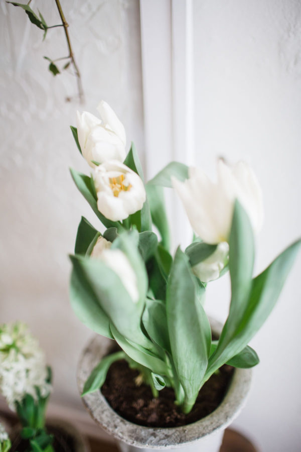 Knoxville Baby PhotographerRed Boat photography-32