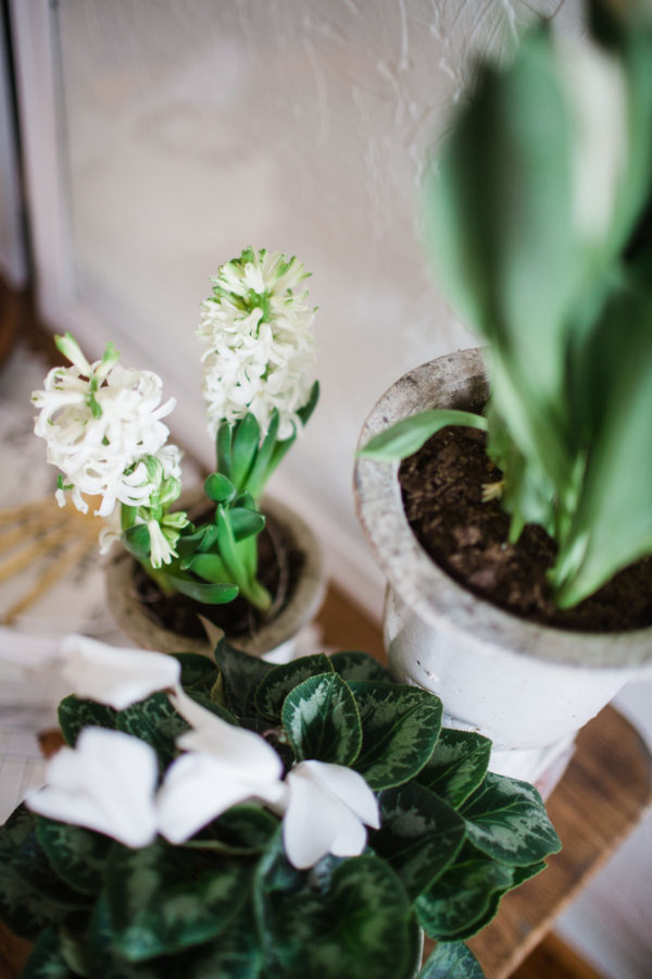 Knoxville Baby PhotographerRed Boat photography-33