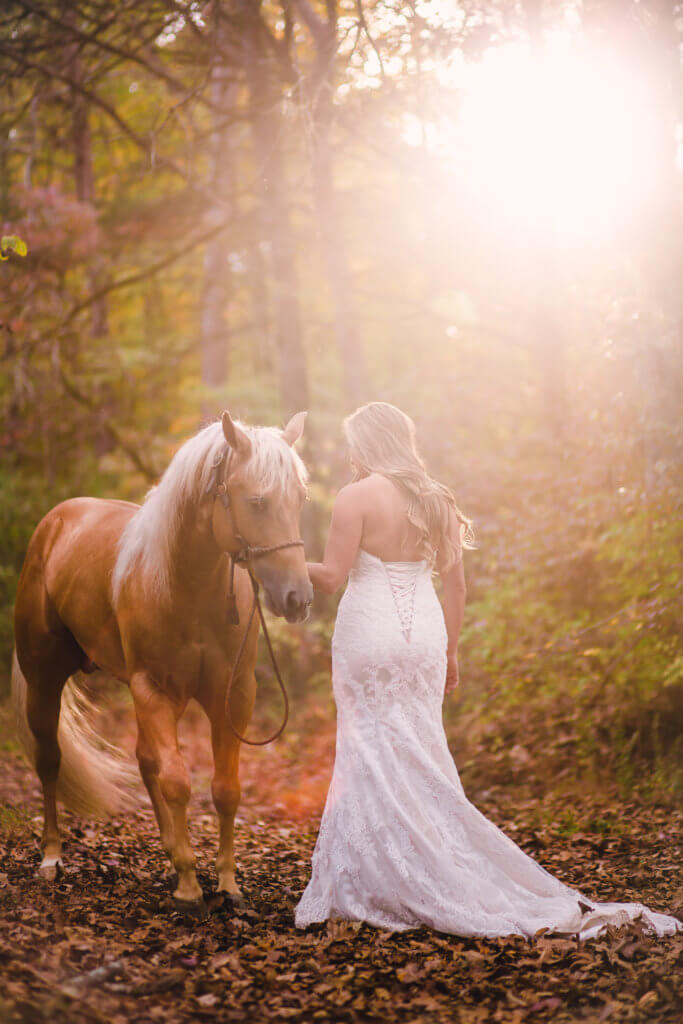 Bride and Horse on a Farm in Knoxville Tennessee