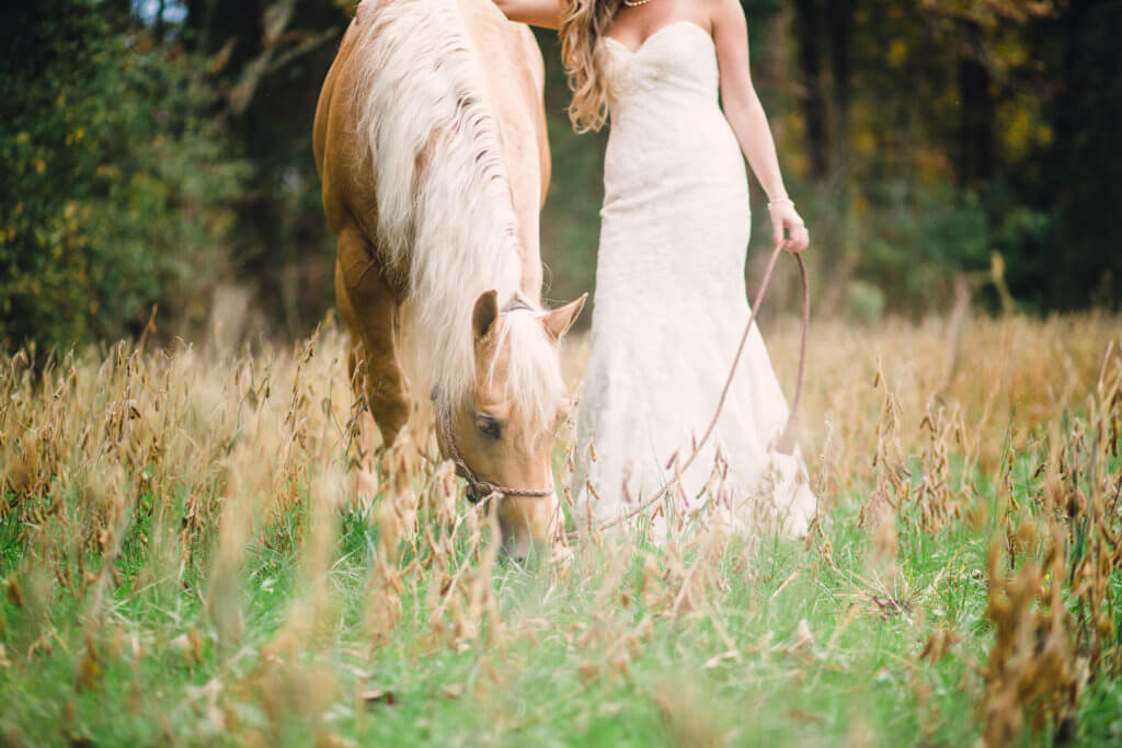 Bride and horse in Knoxville Tennessee