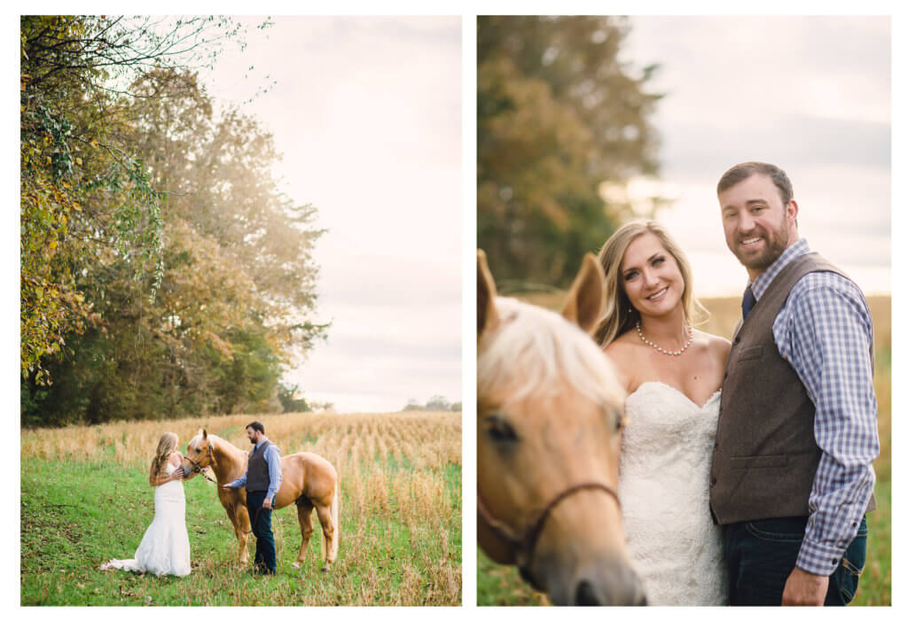 Bride groom and horse on a farm in Knoxville Tennessee 