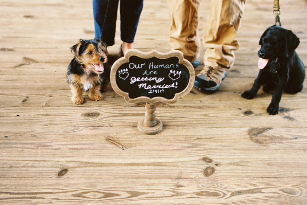 Engaged Couple at Old Salem in Winston Salem, North Carolina