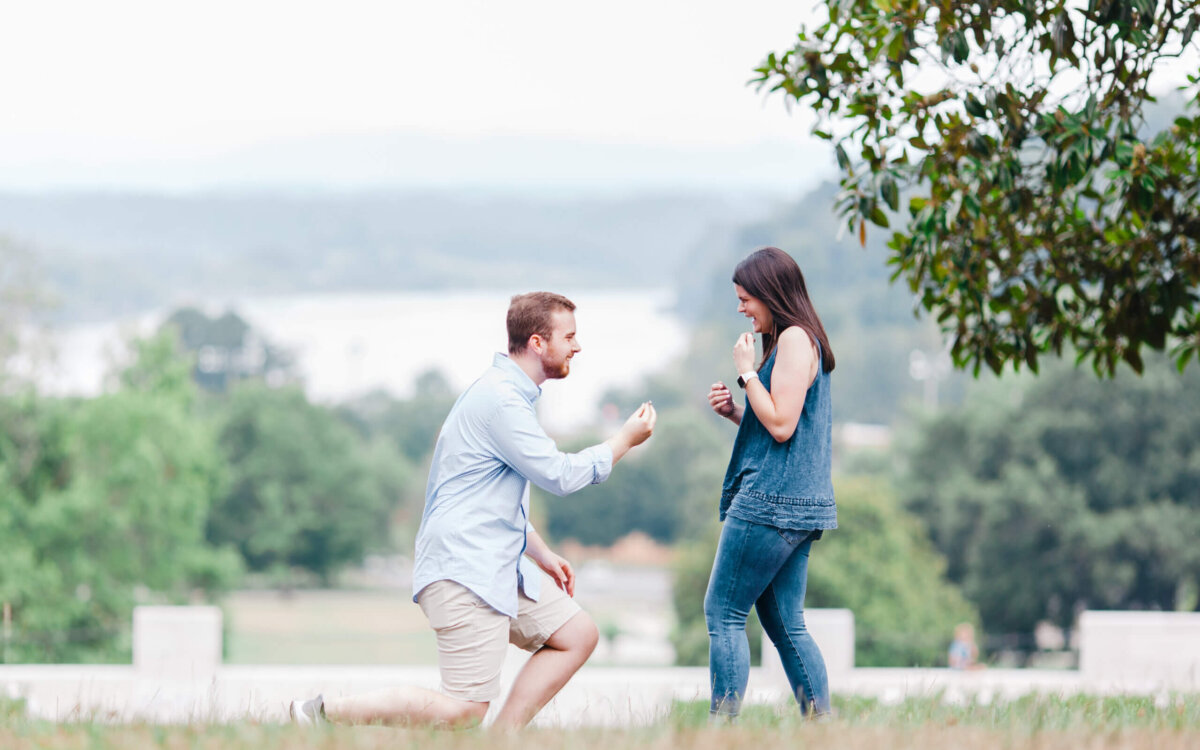 Knoxville Surprise Proposal